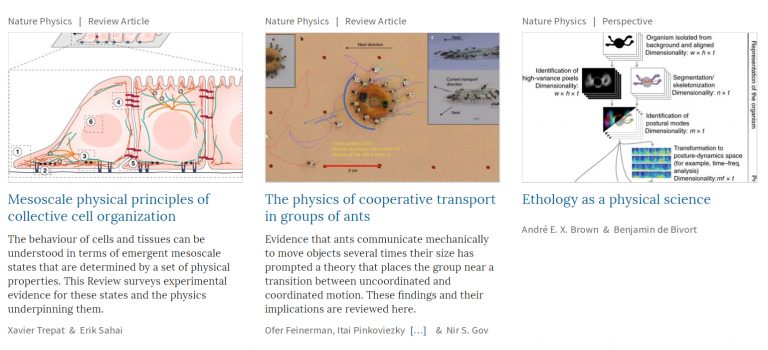 Nature Physics’ ‘Insight’ issue features IBEC/Crick article Nature Physics’ ‘Insight’ issue features IBEC/Crick article